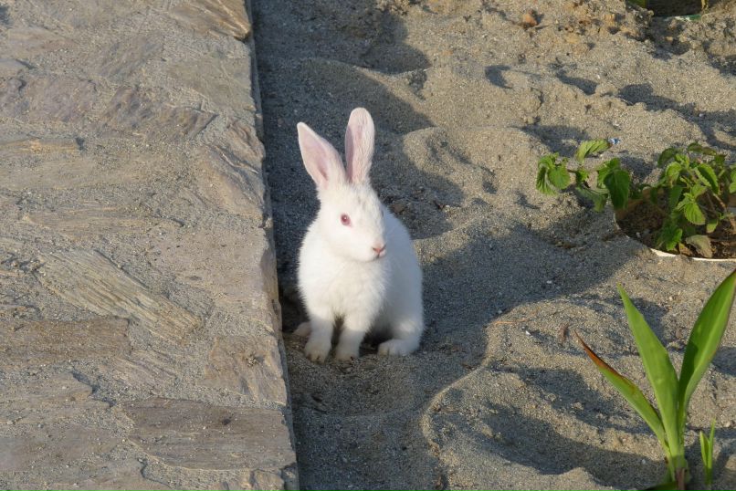 Михаил Грачев фотография #37