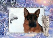 Фотография Симоновой Марины