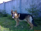 Любомир Костів фотография #7 (источник - https://vk.com/id88483778)