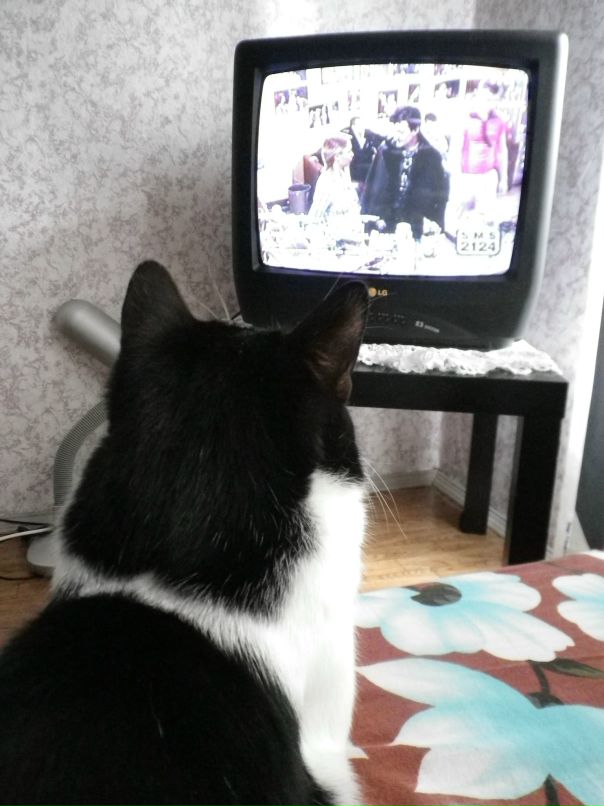 Антон Борзенков фотография #46