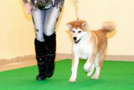 Фотография Алены Алёны