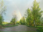 Фотография Анапреев Александр