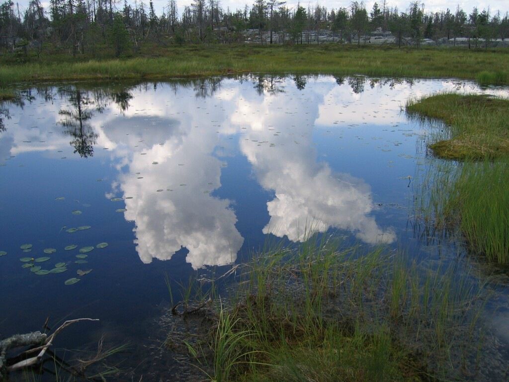 Иван Паньков фотография #19