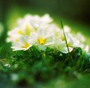 Вєталь Бойчик фотография #8 (источник - https://vk.com/id169130816)