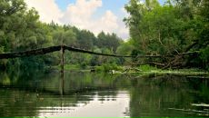 Йохан Кашпировский фотография #21 (источник - https://vk.com/id3096701)