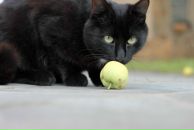 Фотография Васильев Сергей