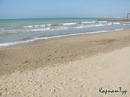 Ксенія Αртемьева фотография #24 (источник - https://vk.com/id140011755)