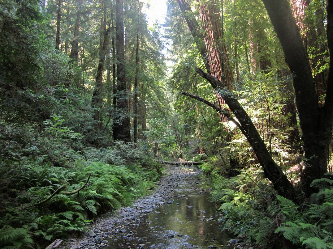 Вячеслав Хан фотография #30