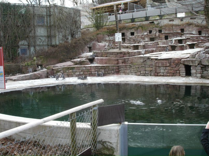 Ирина Лукс фотография #43