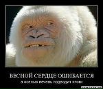 Серёга Лысов фотография #2 (источник - https://vk.com/id8789292)