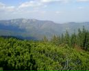 Іванка Галушко фотография #39 (источник - https://vk.com/id147422689)