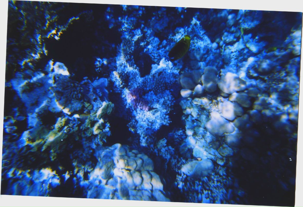 Дмитрий Смирнов фотография #24