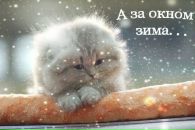 Діаночка Талько фотография #19 (источник - https://vk.com/id133844118)