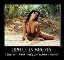 Ρоман Τрофимов фотография #23 (источник - https://vk.com/id164450673)
