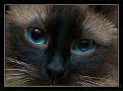 Фотография Кругловой Ксюни