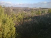 Міша Ярошевський фотография #26 (источник - https://vk.com/id69833166)