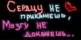 Вова Каськів фотография #15 (источник - https://vk.com/id138455151)