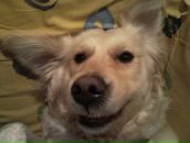 Ирина Череповская фотография #13 (источник - https://vk.com/id2193058)