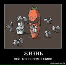 Тетяна Алєксандрова фотография #44 (источник - https://vk.com/id10524297)