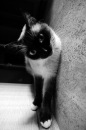 Фотография Султанахметовой Ксюши