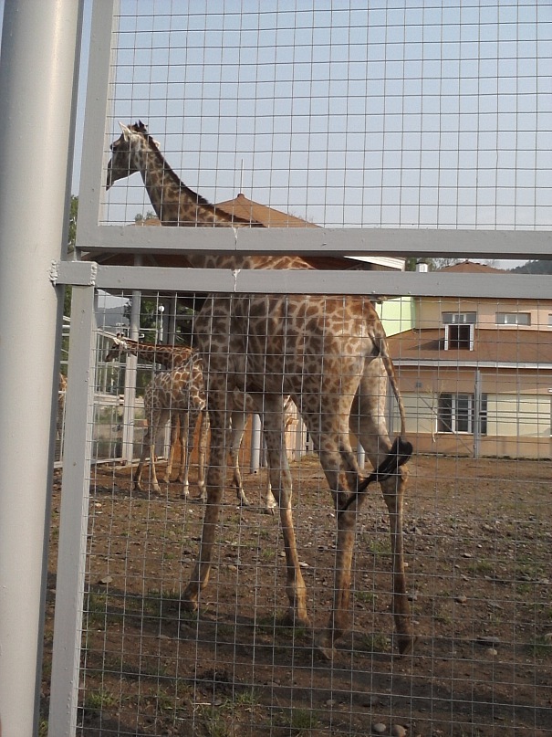 Дмитрий Иост фотография #43