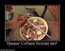 Андрій Піхурко фотография #26 (источник - https://vk.com/id16113506)