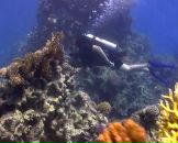 Фотография Бурнаева Дмитрия