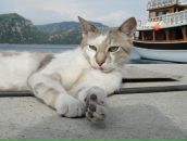 Фотография Сивковой Татьяны