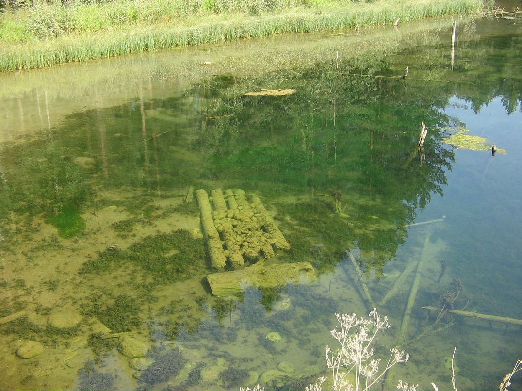 Дмитрий Ухабин фотография #17