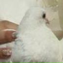 Ірина Мельничук фотография #14 (источник - https://vk.com/id154380118)