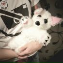 Фотография Баланова Лена