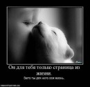 Аліна Цехмістер фотография #42 (источник - https://vk.com/id34642795)