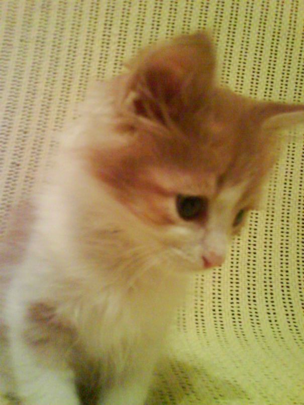 Таисия Лепеха фотография #14