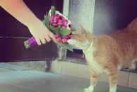 Фотография Пестриковой Юлианы