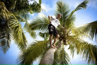 Фотография Dikiy Sergey