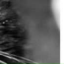 Катюха =) фотография #48 (источник - https://vk.com/id123783235)