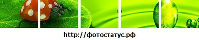 Соломійка Тирчик фотография #2 (источник - https://vk.com/id65034363)