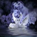 Віта Кубова фотография #40 (источник - https://vk.com/id67238860)