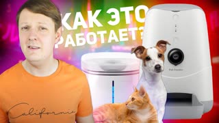 PETONEER NUTRI VISION FEEDER и FRESCO ULTRA: УМНАЯ КОРМУШКА И ПОИЛКА ДЛЯ ЖИВОТНЫХ